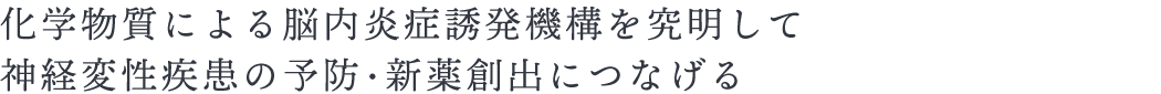 化学物質による脳内炎症誘発機構を究明して、神経変性疾患の予防・新薬創出につなげる